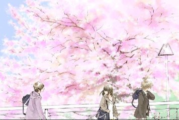 深入了解 4色正能量官网